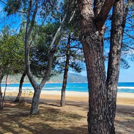 Stratonigreece Seaview 6p Baby Friendly 斯特拉托尼奥