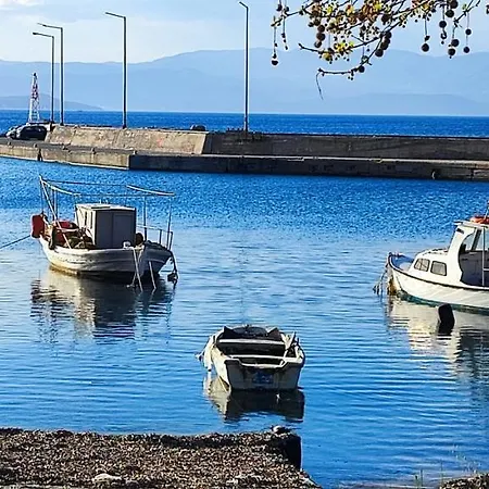 度假居 Stratonigreece Seaview 6p Baby Friendly