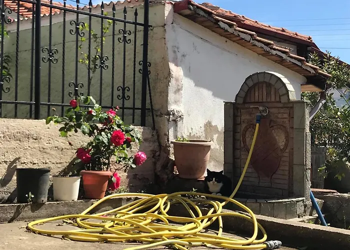 Ferienhaus Authentic House Chalkidiki Greece 6p Seaview Stratoni